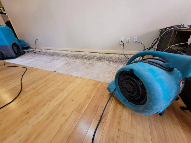 Professional Basement Flood Cleanup technician working in Clarkston, UT